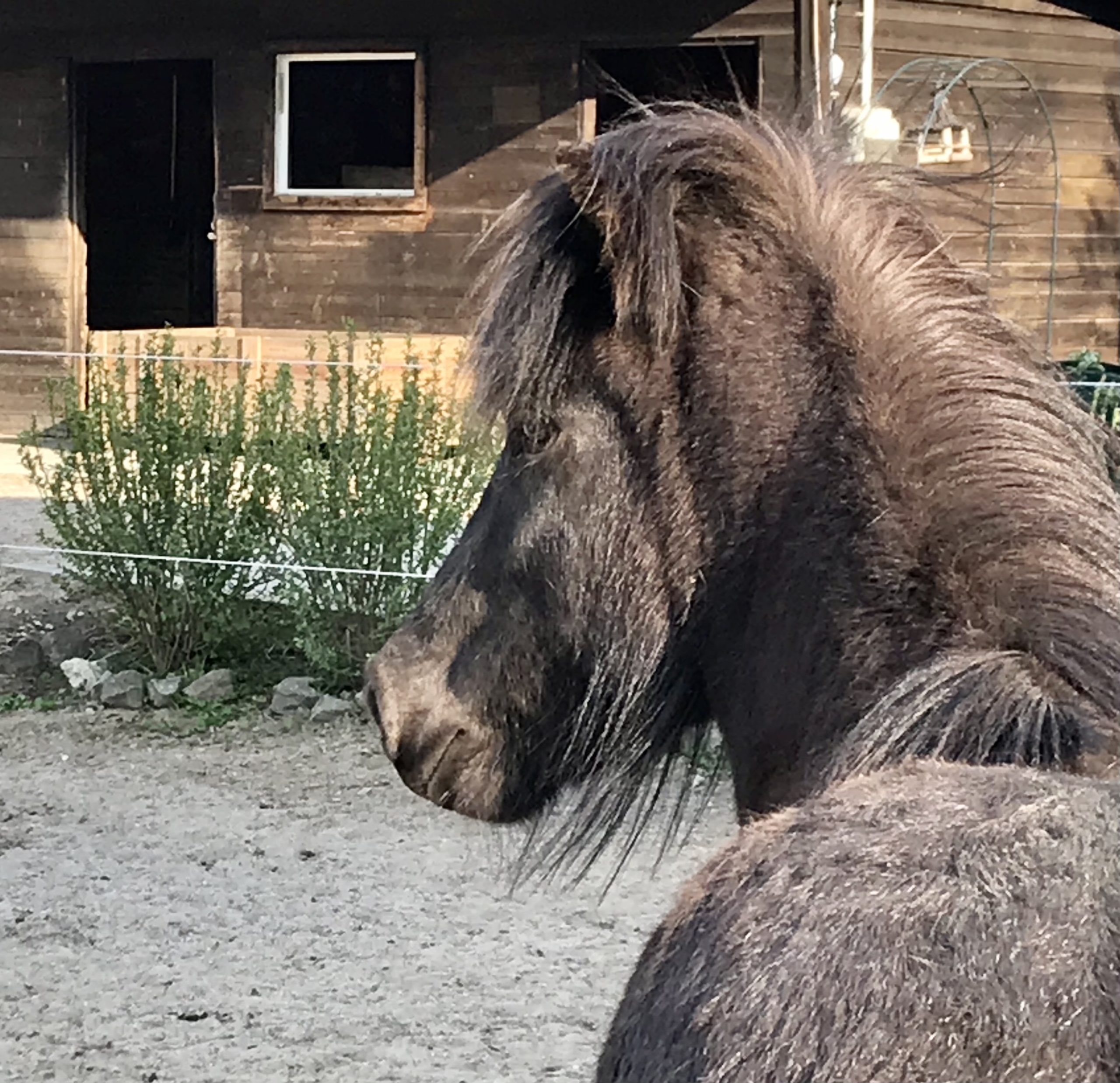 Fia Herhvöt