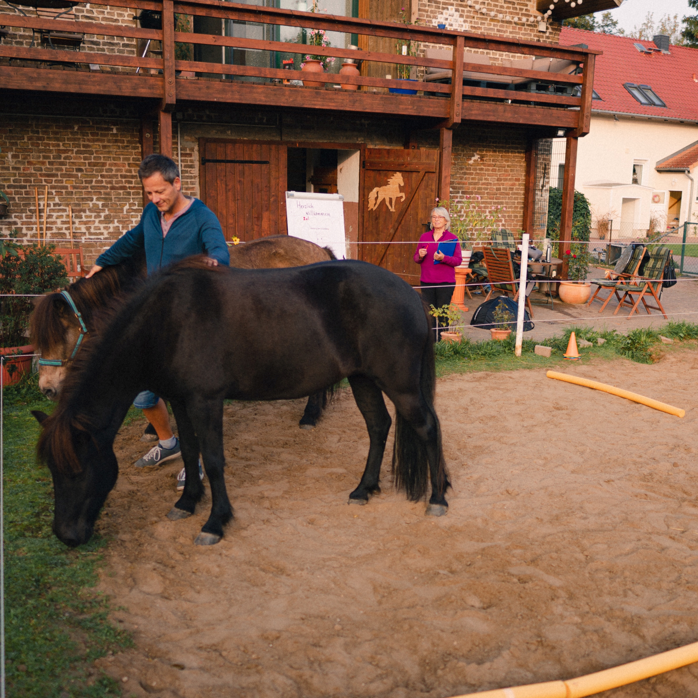 Pferdegestütztes Coaching mit einem Coachee (Einzeln)