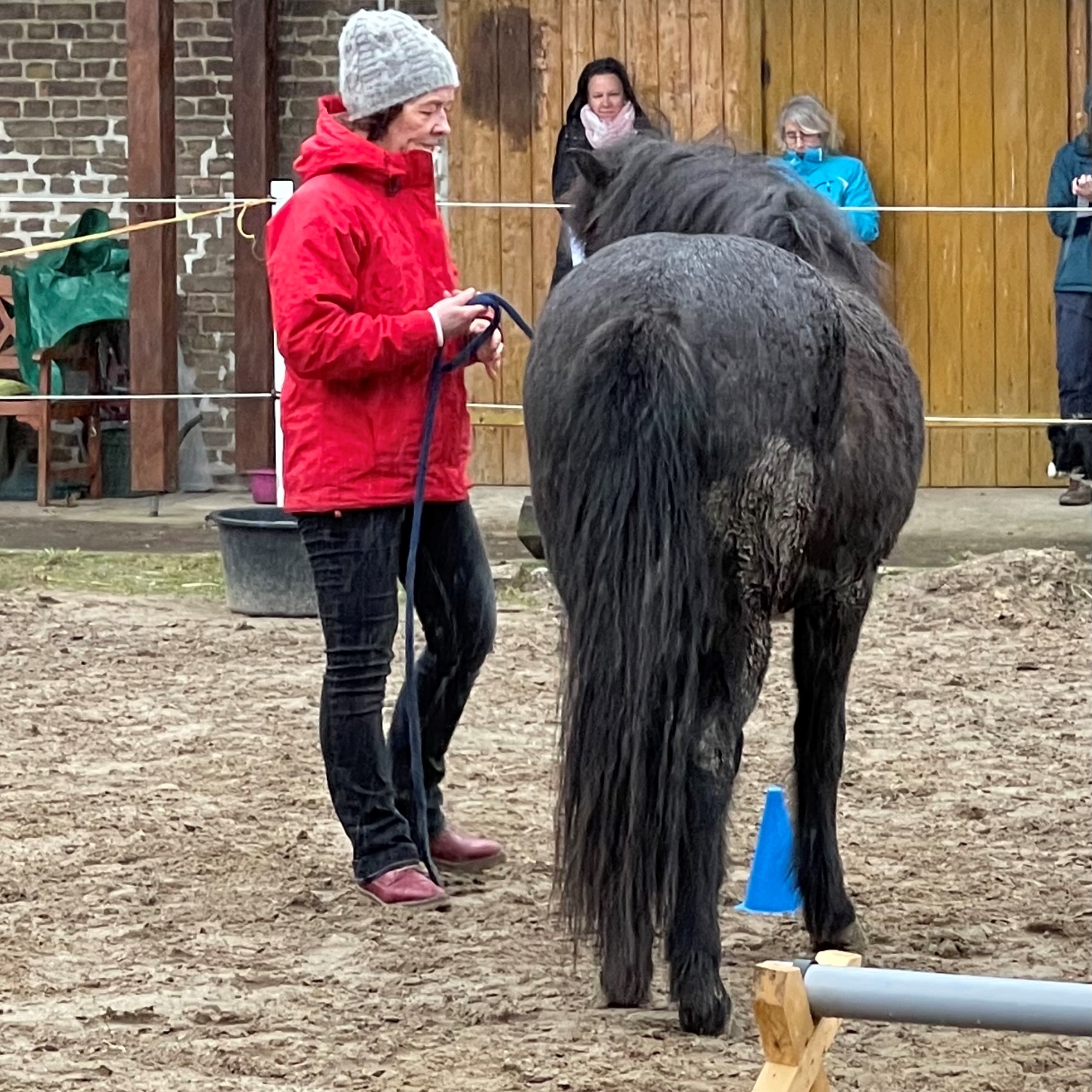 Pferdegestütztes Coaching in der Gruppe