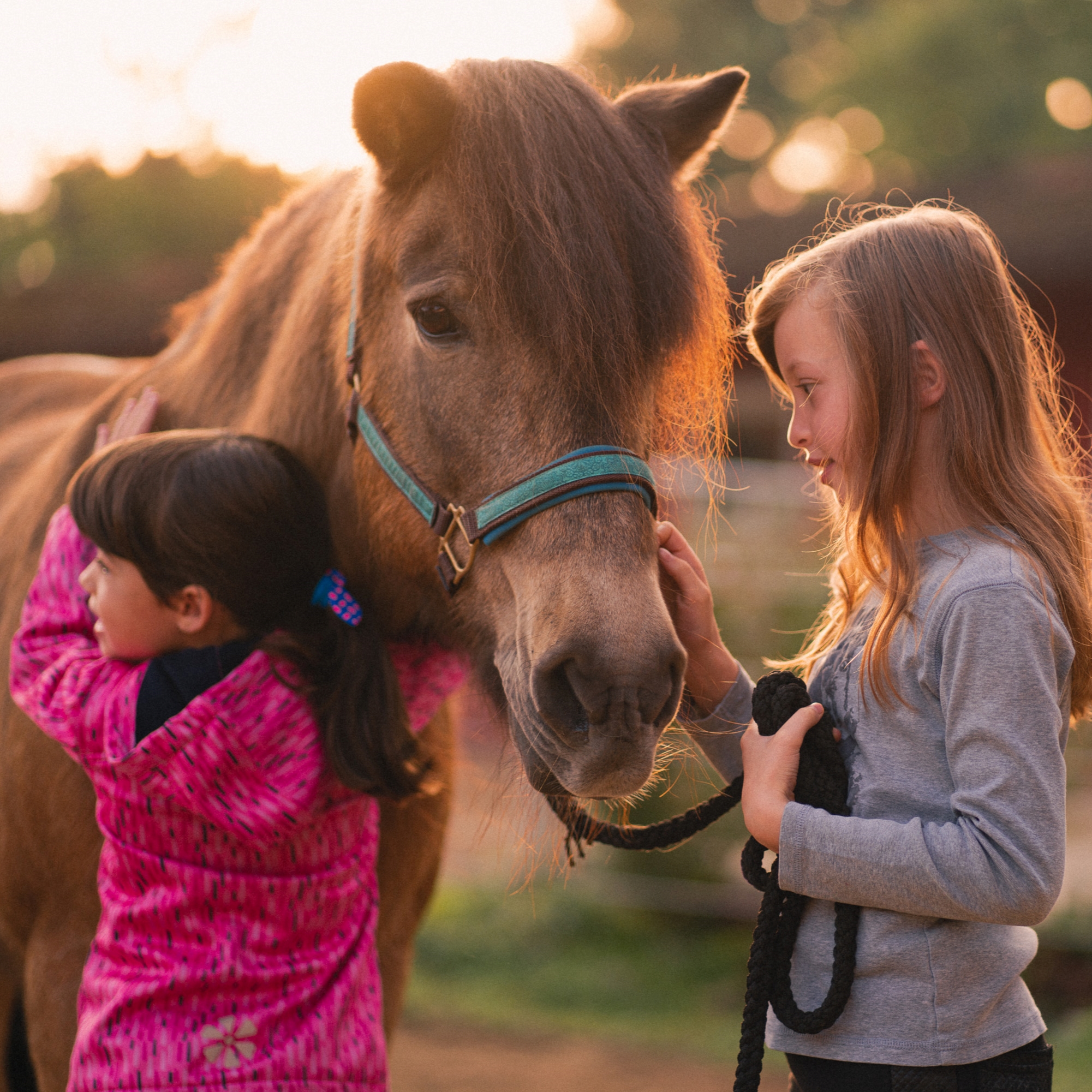 Pferdegestütztes Coaching für Kinder und Jugendliche