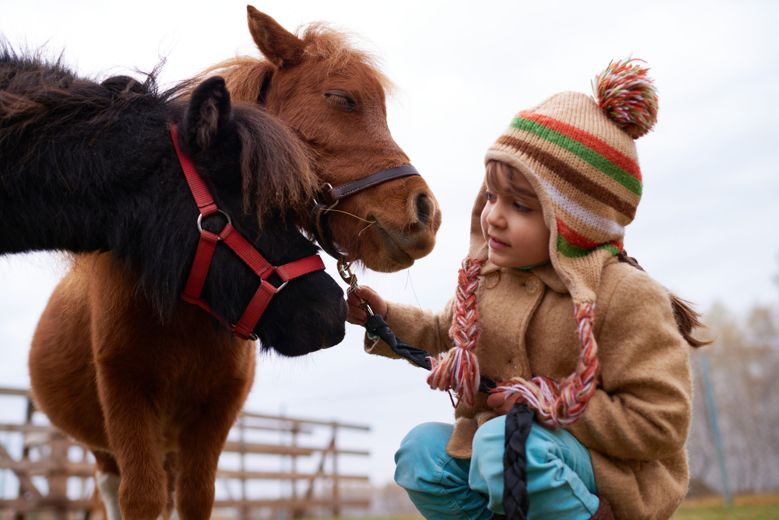 Little,Caucasian,Girl,Getting,Animal-assisted,Therapy,With,Tiny,Ponies,On Kinder Coaching, Trauerbegleitung für Kinder